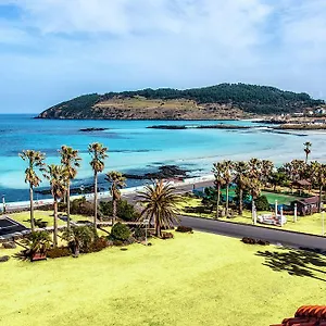 Sunshine *** Jeju